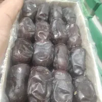 خرمامضافتی ریگان|عمدهفروشی|ریگان, |دیوار