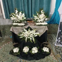 گل طبیعی|گل و گیاه طبیعی|مشهد, راه آهن|دیوار