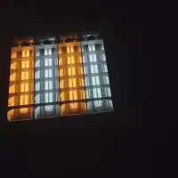 درعسلویه نخل تقی