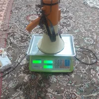 فروش ترازو و بلند گو
