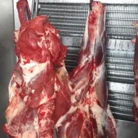 کارگر ساده آقا