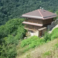 ساخت ساختمان‌های چوبی زگالی مدرن