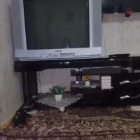 تلویزیون  ومیز تلویزیون|میز تلویزیون|آستارا, |دیوار