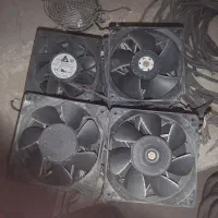 فن ماین