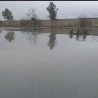 ماله پروانه ای|خدمات پیشه و مهارت|درگهان, |دیوار