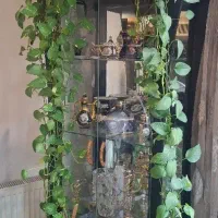 بوفه
