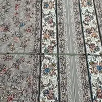 لنسر ماهی گیری|ماهیگیری|بوکان, |دیوار