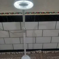 کوی علوی