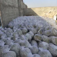 تفاله چقندر|لوازم جانبی حیوانات|فردوس (خراسان), |دیوار