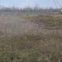 زمین-کاربری-مسکونی-انزلی-تربه-گوده