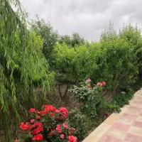 باغ۵۰۰۰متر سندتک‌برگ بهترین لوکیشن شاهدشهر