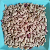 فروش انواع حبوبات مرغوب بصورت عمده و جزئی|عمدهفروشی|گنبد کاووس, |دیوار