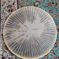 دف دو مهر کیوان|سازهای سنتی|تهران, تهرانپارس شرقی|دیوار