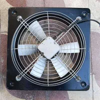 فن پنجاه در پنجاه