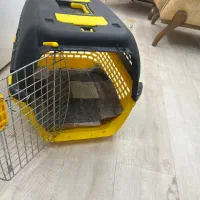 سگ شیتزو|سگ|اصفهان, باغ زرشک|دیوار