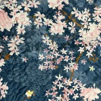 روبالشتی نخی و مخمل