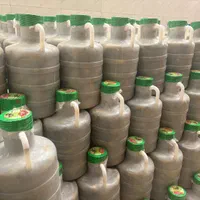 خیارشور تخمیری