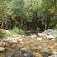 تخفیف ویژه باغ گلها