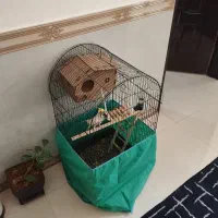 دو عدد عروس هلندی با قفس