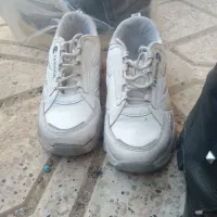 دوعدد کفش|کیف، کفش، کمربند|گناباد, |دیوار