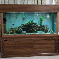 آکواریوم بزرگ