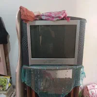 تلوزیون