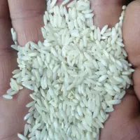 فروش برنج لنجان2400000تومان|خوردنی و آشامیدنی|اصفهان, کوی امیریه|دیوار