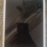 ipad mini 2|تبلت|یزد, |دیوار
