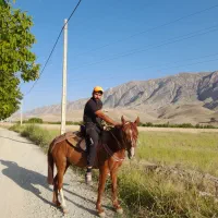 اسبیورقه|اسب و تجهیزات اسبسواری|شیروان (خراسان), |دیوار