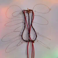 شناطه عربی کبوتر