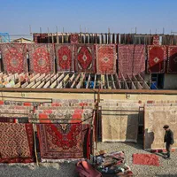 کارخانه قالیشویی شیخ طوسی (دشتستان،پروین،لاله)