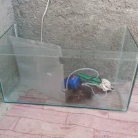 اکواریم وپمپ هوا