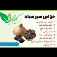 سیر سیاه همدان|خوردنی و آشامیدنی|شیراز, گلکوب|دیوار