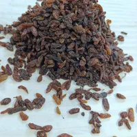 کشمش آفتابی تمیز و شیرین|خوردنی و آشامیدنی|مشهد, کوی المهدی|دیوار