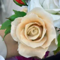 گل مصنوعی دست ساز ب