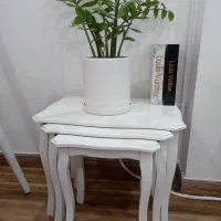 فروش ست کامل مبل ومیزنهارخوری|مبلمان خانگی و میز عسلی|لشت نشا, |دیوار