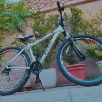 دوچرخه ویوا ۲۹ - در حد نو + باربند|دوچرخه، اسکیت، اسکوتر|فردیس, انبار نفت|دیوار