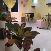 چهار دست میز صندلی