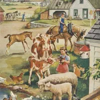 انجام خدمات آسیاب و میکسر خوراک دام