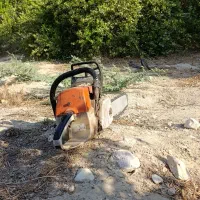 خدمات نخل بری زارعی|خدمات باغبانی و درختکاری|بهبهان, |دیوار