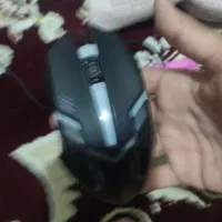 موس گیمینگ|قطعات و لوازم جانبی رایانه|بندرعباس, |دیوار