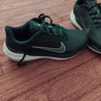 فروش کفش|کیف، کفش، کمربند|مریوان, |دیوار