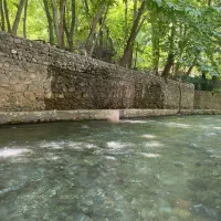تور یک روز شاد برغان مخصوص بانوان لحظه اخری ۵نفر|تور و چارتر|تهران, تهرانپارس غربی|دیوار