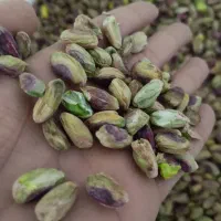 مغز پسته|خوردنی و آشامیدنی|قم, سراجه (۱۵ خرداد)|دیوار