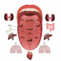 تشخیص بیماریها با طب سنتی