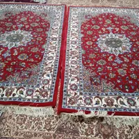 فرش دست بافت درجه یک|فرش|اراک, |دیوار