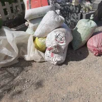 کود بلدرچین