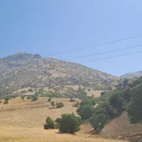 طبیعت گردی|فعالیت داوطلبانه|تهران, سازمان برنامه شمالی|دیوار