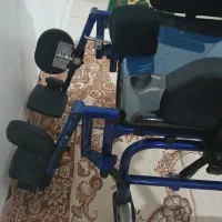 ویلچر cp|آرایشی، بهداشتی، درمانی|باغستان, |دیوار