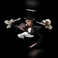 اجرا در مراسمات عروسی تولد و مراسمات ارگانی